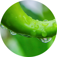 ag贵宾会·(中国)集团