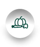 ag贵宾会·(中国)集团