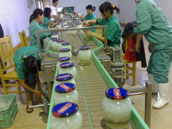 链板输送机的优点及发展趋势分析